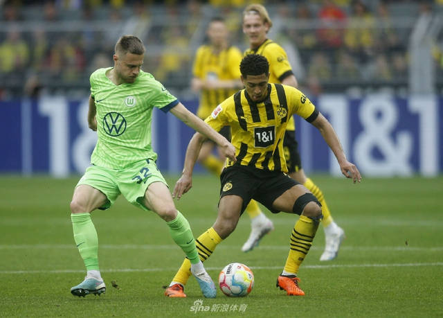 海星赛事-勒沃库森内部会议纪要流出：清晨防线松动；CBA常规赛使命明确；赛程密集仍需轮换的简单介绍